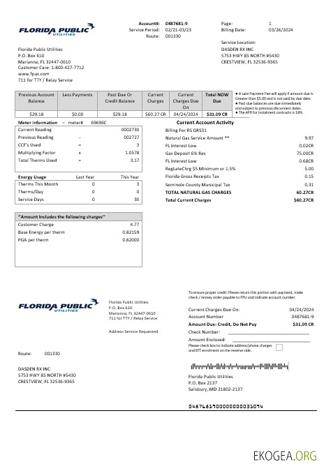 Modèle de facture de services publics des services publics des États-Unis, de Floride, aux formats Word et PDF template